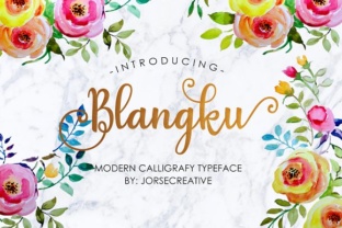 Blangku: The Perfect Font for Modern Branding and Design