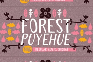 Forest Puyehue: A Font That Breathes Life Into Handmade Creations