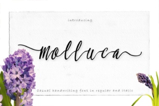 Molluca: A Script Handwritten Font That Builds Trust
