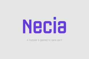 Necia Family: A Modular Sans Serif Font for High-Impact Display Campaigns