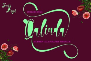 Qalinda: A Script Handwritten Font That Elevates Your Brand